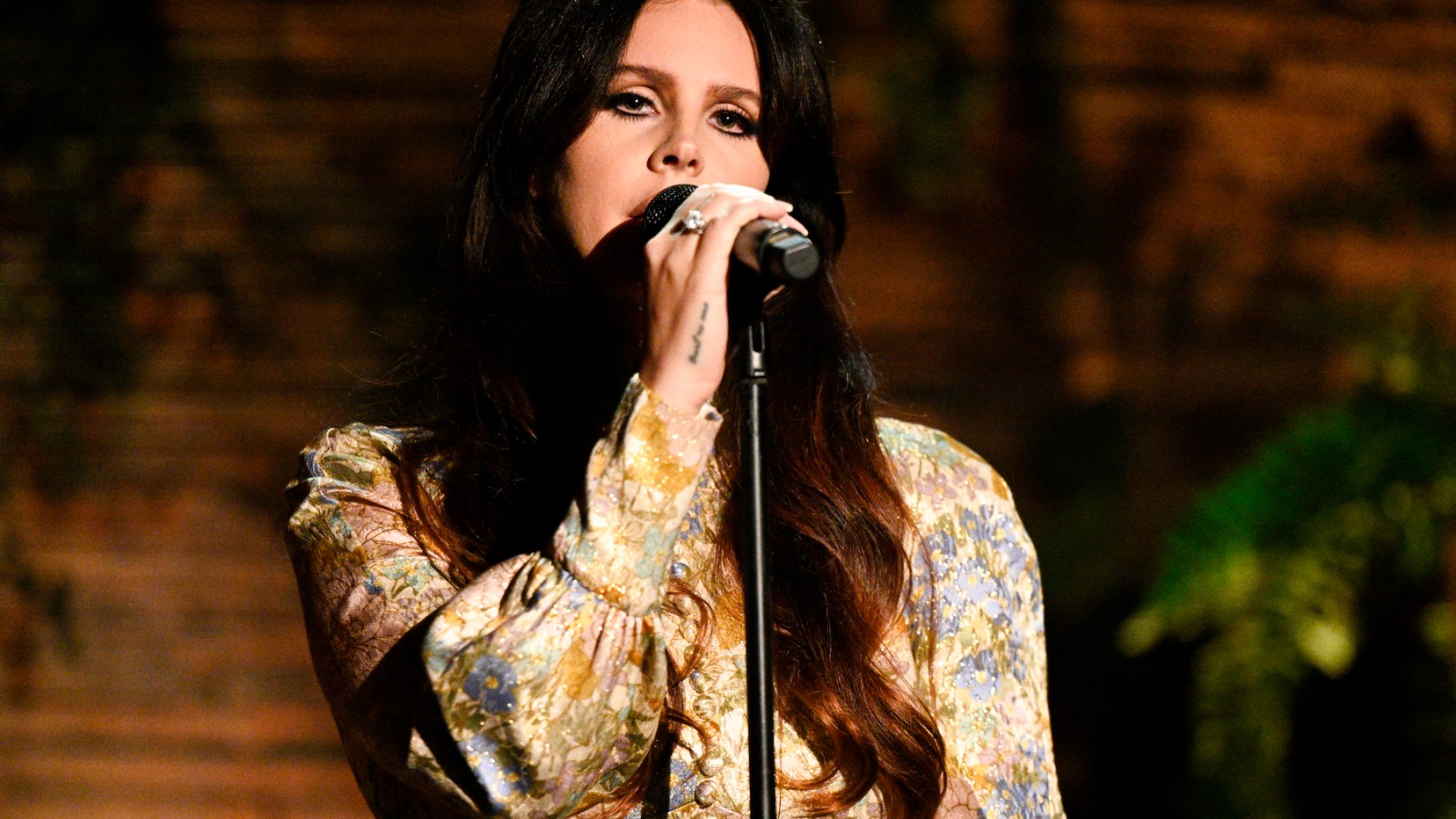 Lana Del Rey Performs Stunning Headlining Set at Coachella New York